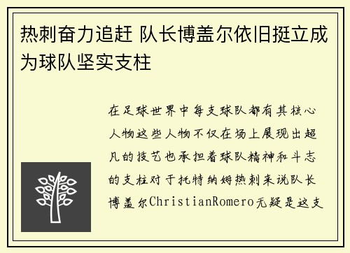 热刺奋力追赶 队长博盖尔依旧挺立成为球队坚实支柱